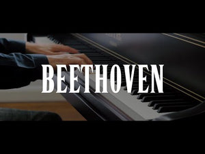 Beethoven: Musical Souvenirs for Piano - Original Works and Arrangements