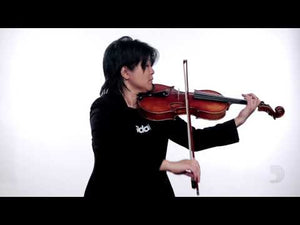 D'Addario Kaplan Forza Viola G String 4/4