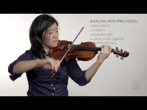 D'Addario Kaplan Vivo Viola A String 4/4