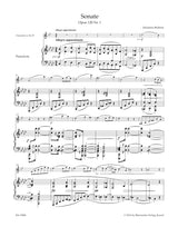 Brahms: Clarinet Sonatas, Op. 120