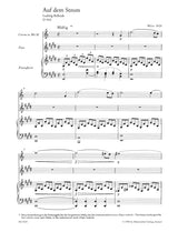 Schubert: Auf dem Strom, Op. posth. 119, D 943