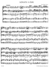 Telemann: Methodical Sonatas - Volume 5 (TWV 41:E5 and 41:B5)