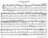 Buxtehude: Chorale Settings - Part 1 (BuxWV 177-206)