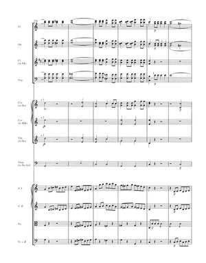 Schubert: Symphony No. 4 in C Minor ("Tragic"), D 417