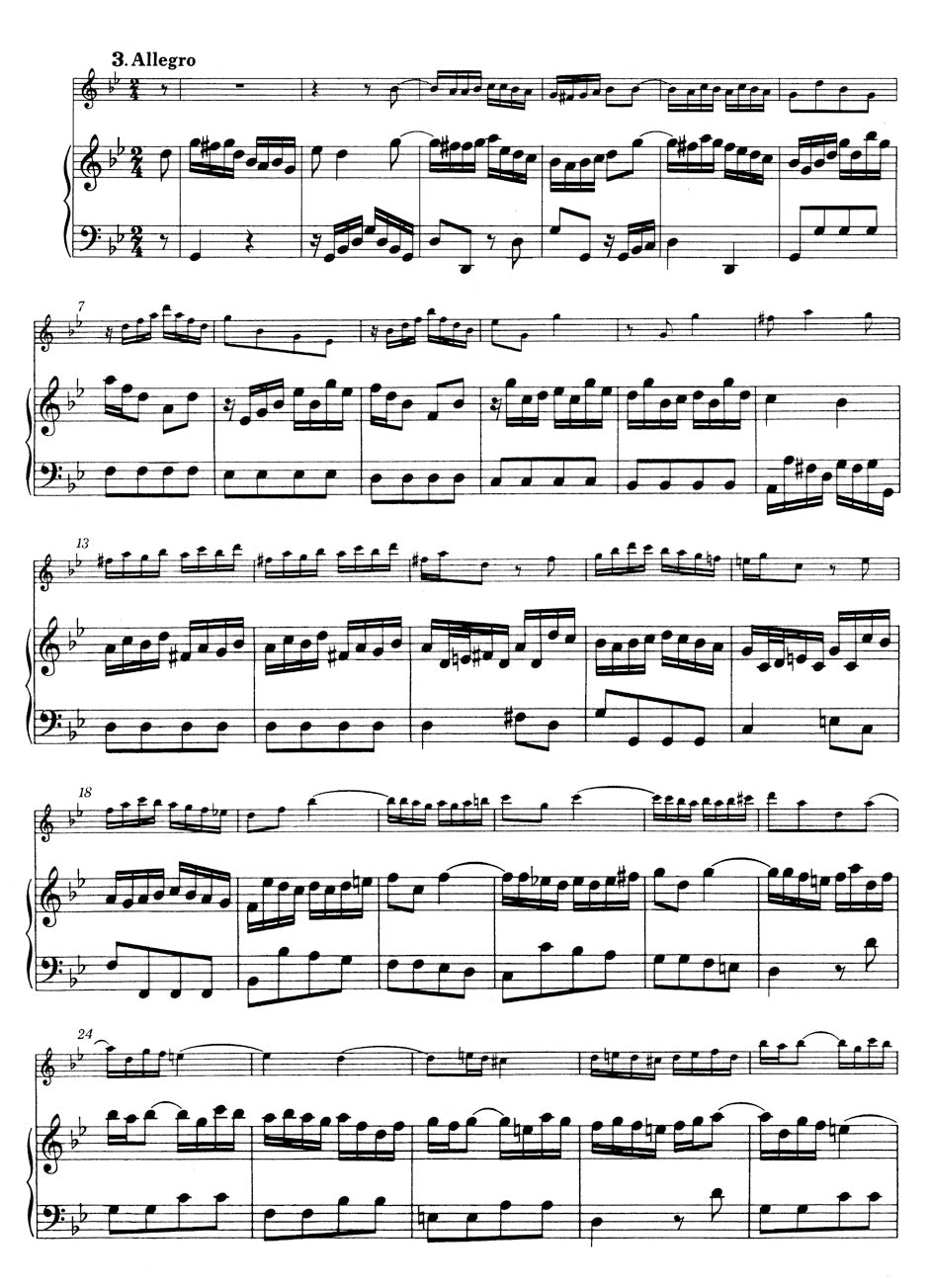 Bach: Flute Sonata in G Minor, BWV 1020