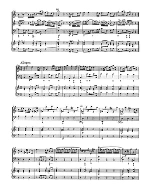 Telemann: Methodical Sonatas - Volume 6 (TWV 41:d2 and 41:C3)