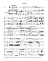 Beethoven: Violin Sonatas - Volume 2