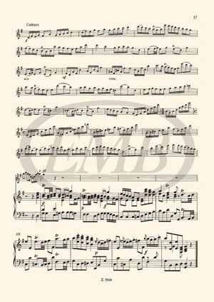 Quantz: Flute Concerto in G Major