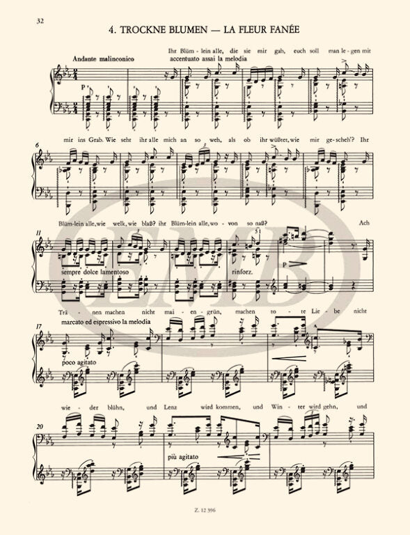 Liszt: Free Arrangements VII