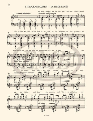 Liszt: Free Arrangements VII