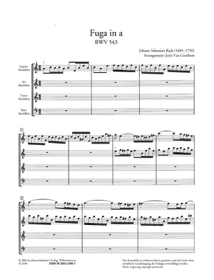 Bach: Fugue in A Minor, BWV 543 (arr. for recorder quartet)